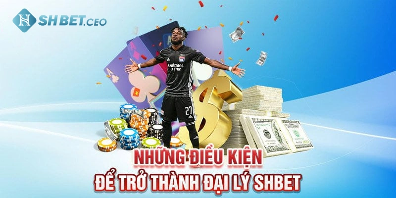 Chính sách đại lý SHBET