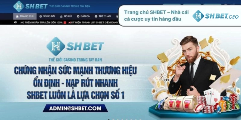 Điều kiện điều khoản